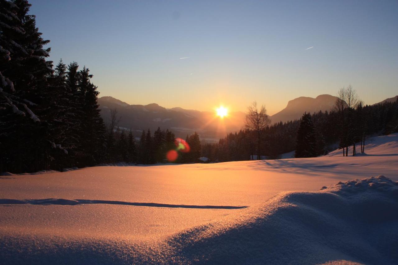 Boutique-Pension Jaegerwirt Scheffau am Wilden Kaiser Luaran gambar